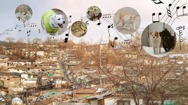 Nonton Film A Time for Dogs and Cats (2020) Subtitle Indonesia - Filmapik