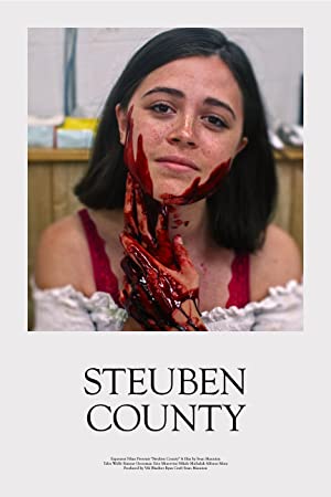 Nonton Film Steuben County (2020) Subtitle Indonesia Filmapik