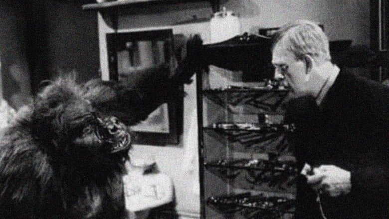 Nonton Film The Ape (1940) Subtitle Indonesia - Filmapik