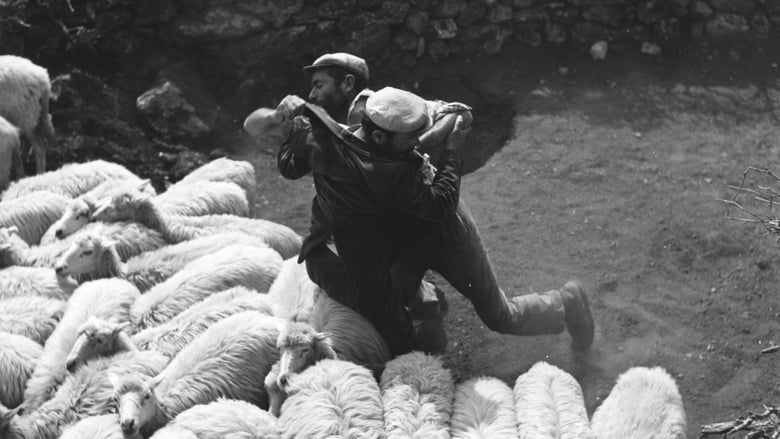 Nonton Film Bandits of Orgosolo (1961) Subtitle Indonesia - Filmapik