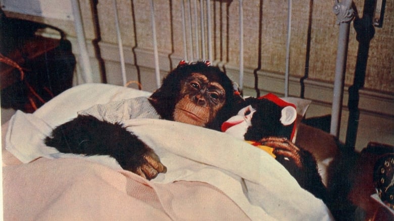Nonton Film The Monkey’s Uncle (1965) Subtitle Indonesia - Filmapik