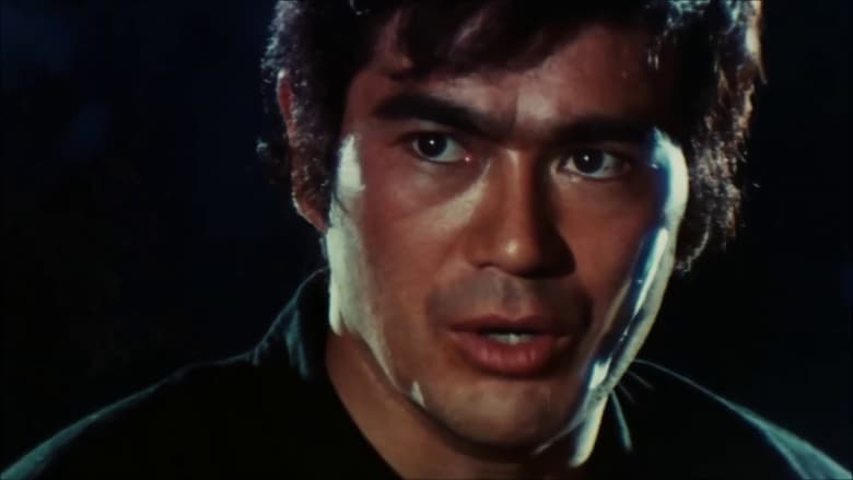 Nonton Film Return of the Street Fighter (1974) Subtitle Indonesia - Filmapik