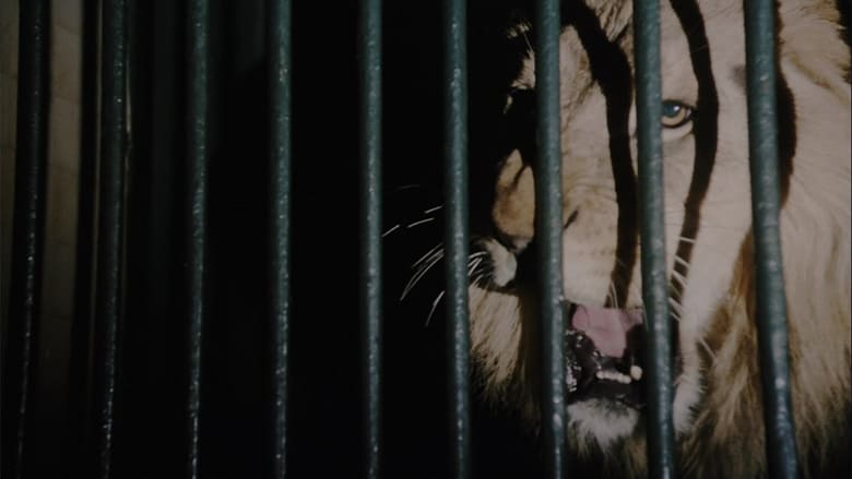 Nonton Film The Wild Beasts (1984) Subtitle Indonesia - Filmapik