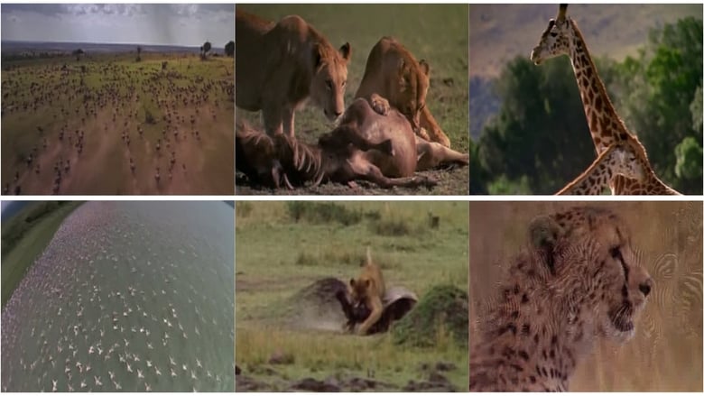 Nonton Film Africa: The Serengeti (1994) Subtitle Indonesia - Filmapik