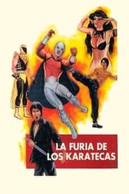 Nonton Film The Fury of the Karate Experts (1982) Subtitle Indonesia - Filmapik