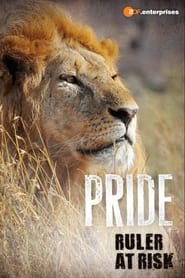 Nonton Film Pride: Ruler’s at Risk (2016) Subtitle Indonesia - Filmapik