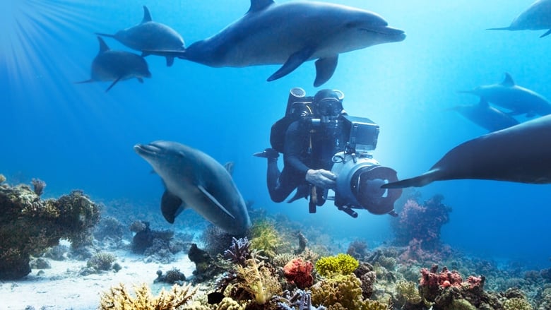 Nonton Film Diving with Dolphins (2020) Subtitle Indonesia - Filmapik