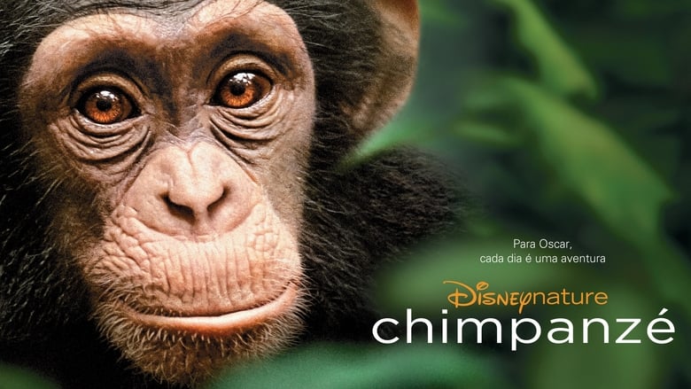 Nonton Film Chimpanzee (2012) Subtitle Indonesia - Filmapik