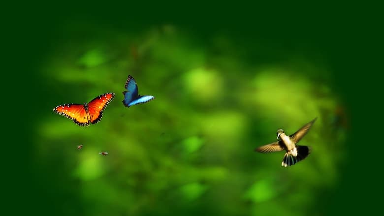 Nonton Film Disneynature: Wings of Life (2011) Subtitle Indonesia - Filmapik