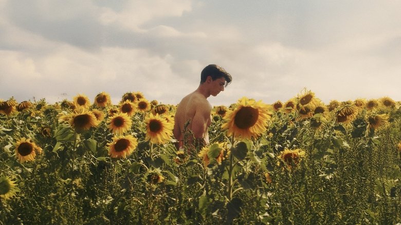 Nonton Film Sunflower (2023) Subtitle Indonesia - Filmapik