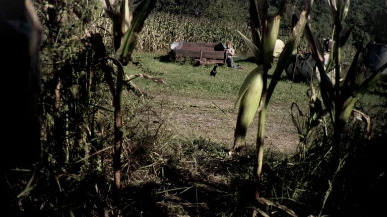 Nonton Film The Fields (2011) Subtitle Indonesia - Filmapik