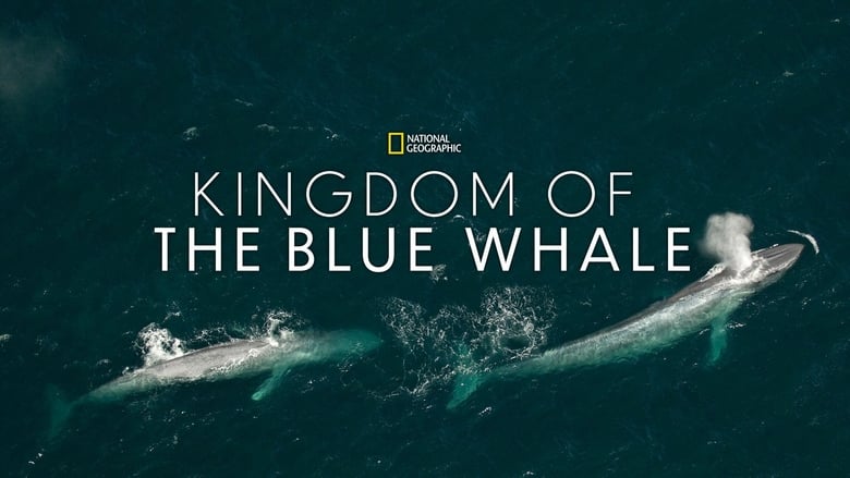 Nonton Film Kingdom of the Blue Whale (2009) Subtitle Indonesia - Filmapik