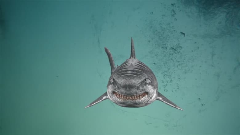 Nonton Film Jurassic Shark 2: Aquapocalypse (2021) Subtitle Indonesia - Filmapik