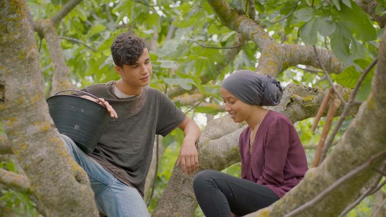 Nonton Film Under the Fig Trees (2021) Subtitle Indonesia - Filmapik
