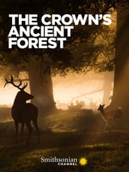 Nonton Film The Crown’s Ancient Forest (2021) Subtitle Indonesia - Filmapik