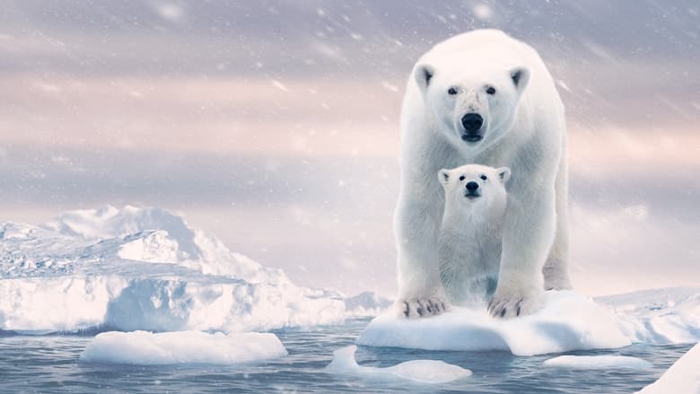 Nonton Film Polar Bear (2022) Subtitle Indonesia - Filmapik