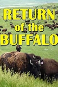 Nonton Film The Return of the Buffalo: Restoring the Great American Prairie (2008) Subtitle Indonesia - Filmapik