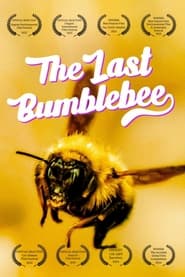 Nonton Film The Last Bumblebee (2024) Subtitle Indonesia - Filmapik