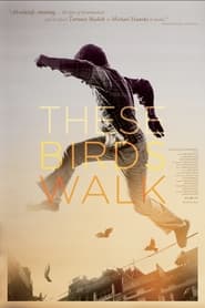 Nonton Film These Birds Walk (2012) Subtitle Indonesia - Filmapik