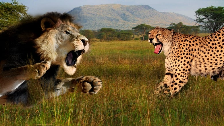 Nonton Film Cat Wars: Lion Vs. Cheetah (2011) Subtitle Indonesia - Filmapik