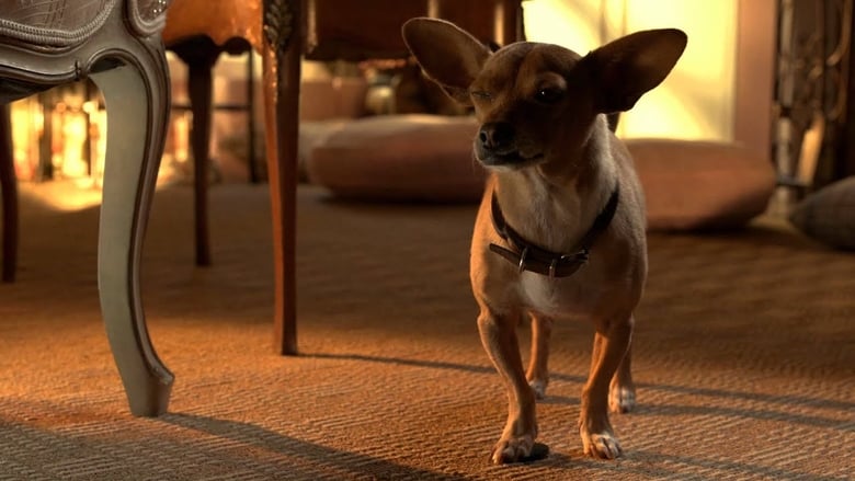 Nonton Film Beverly Hills Chihuahua 3: Viva La Fiesta! (2012) Subtitle Indonesia - Filmapik