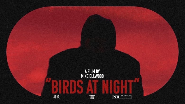 Nonton Film Birds at Night (2023) Subtitle Indonesia - Filmapik