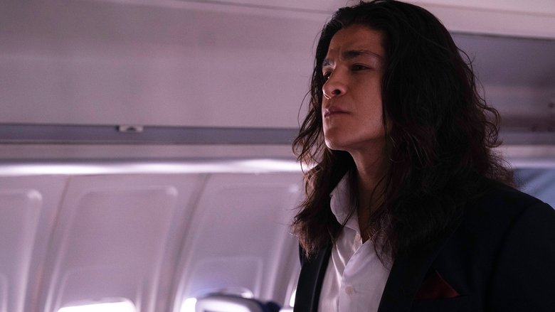Nonton Film In Flight (2024) Subtitle Indonesia - Filmapik