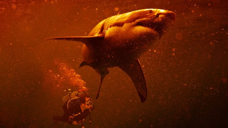 Nonton Film Sharkcano: Hawaii (2023) Subtitle Indonesia - Filmapik