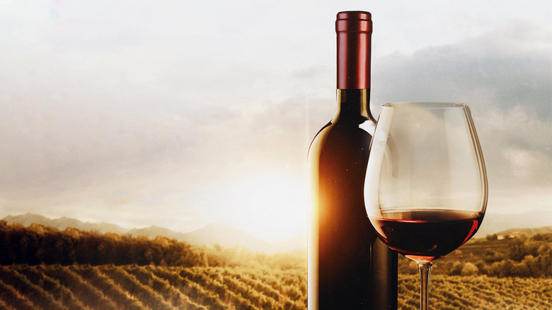 Nonton Film The Mostly Serious History of Wine (2023) Subtitle Indonesia - Filmapik