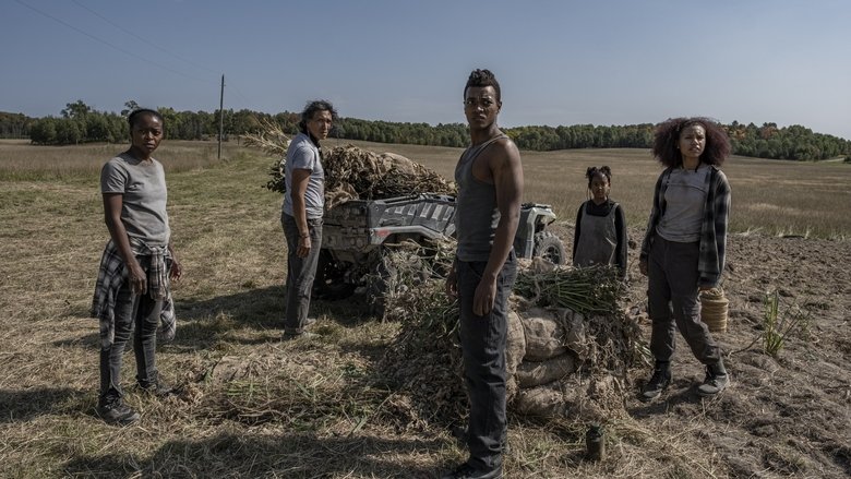 Nonton Film 40 Acres (2024) Subtitle Indonesia - Filmapik