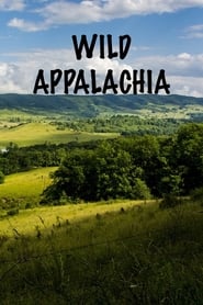 Nonton Film Wild Appalachia (2013) Subtitle Indonesia - Filmapik