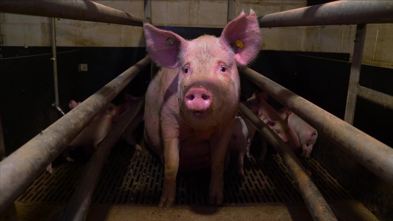 Nonton Film Pignorant (2024) Subtitle Indonesia - Filmapik