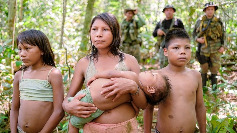 Nonton Film 40 días perdidos en la Selva (2024) Subtitle Indonesia - Kudaliar89