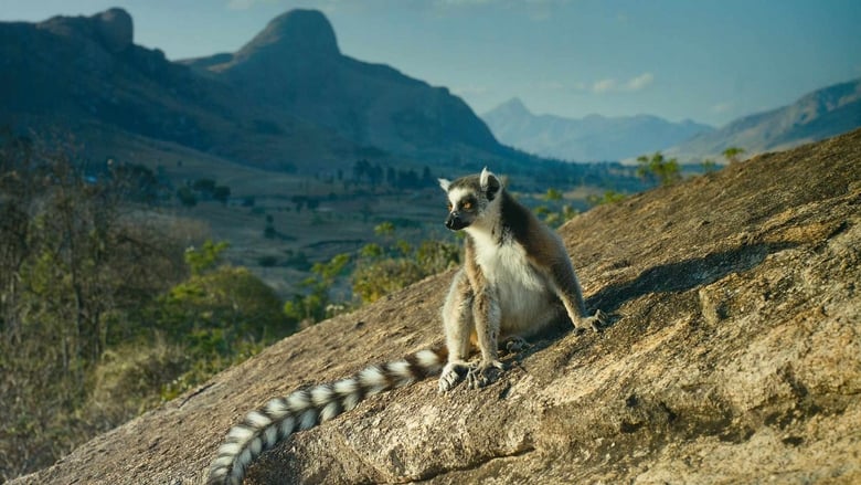 Nonton Film Island of Lemurs: Madagascar (2014) Subtitle Indonesia - Filmapik