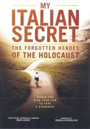 Nonton Film My Italian Secret: The Forgotten Heroes (2014) Subtitle Indonesia - Filmapik