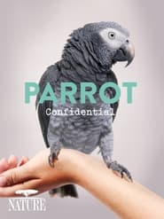 Nonton Film Parrot Confidential (2013) Subtitle Indonesia - Filmapik