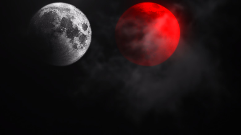 Nonton Film DUAL (2025) Subtitle Indonesia - Filmapik