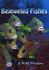 Nonton Film Wild Window: Bejeweled Fishes (2016) Subtitle Indonesia - Filmapik