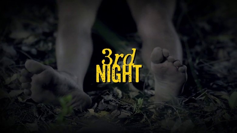 Nonton Film 3rd Night (2017) Subtitle Indonesia - Kudaliar89