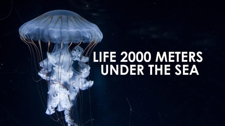 Nonton Film Life 2,000 Meters Under the Sea (2014) Subtitle Indonesia - Filmapik