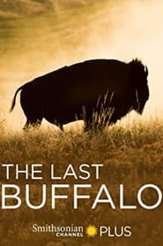 Nonton Film The Last Buffalo (2017) Subtitle Indonesia - Filmapik