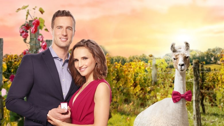 Nonton Film Valentine in the Vineyard (2019) Subtitle Indonesia - Filmapik