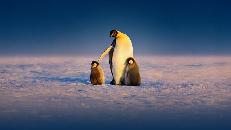 Nonton Secrets of the Penguins (2025) Sub Indo - Taifilm Nonton Bioskop 21