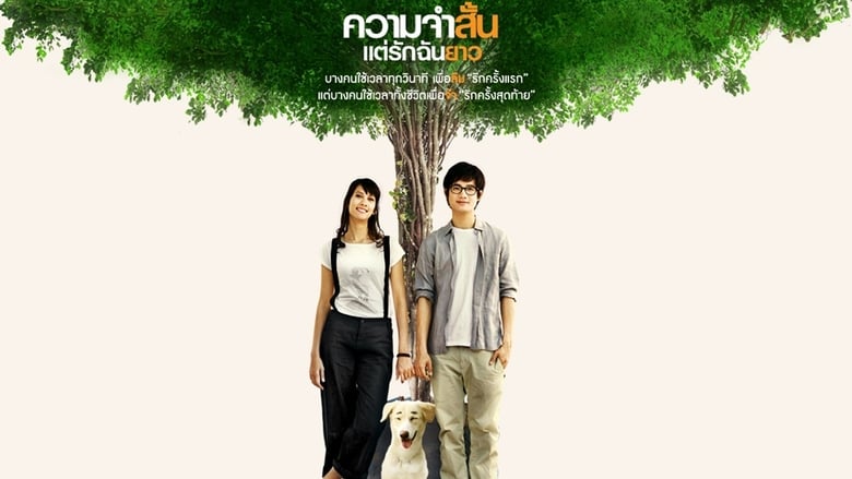 Nonton Film Best of Times (2009) Subtitle Indonesia - Filmapik