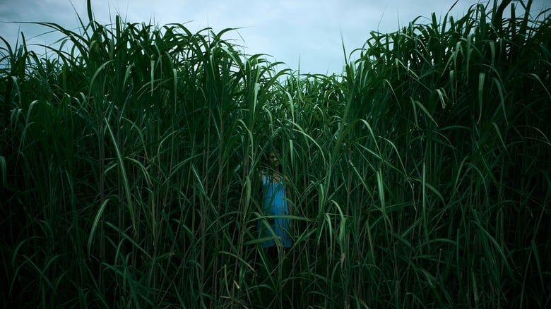 Nonton Film In the Tall Grass (2019) Subtitle Indonesia - Filmapik