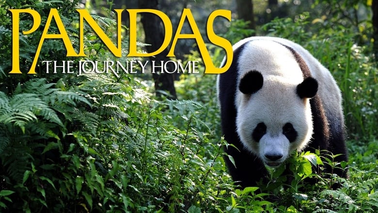 Nonton Film Pandas: The Journey Home (2014) Subtitle Indonesia - Filmapik
