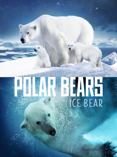 Nonton Film Polar Bears: Ice Bear (2013) Subtitle Indonesia - Filmapik