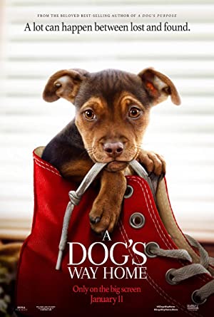 Nonton Film A Dog”s Way Home (2019) Subtitle Indonesia Filmapik