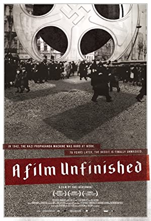 A Film Unfinished (2010)