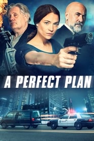 Nonton Film A Perfect Plan (2020) Subtitle Indonesia